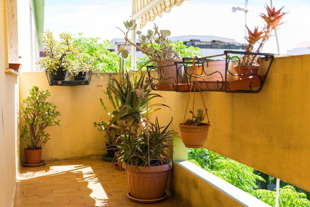 Apartamento Sa Mama E Su Sole Alguer Exterior foto